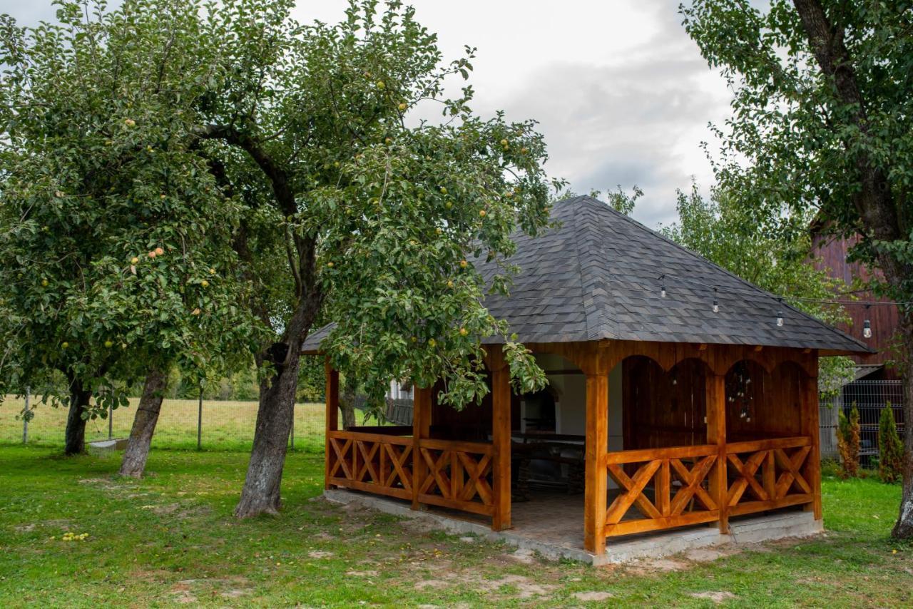 Hotel Casa Strabunicului à Partestii de Sus  Extérieur photo